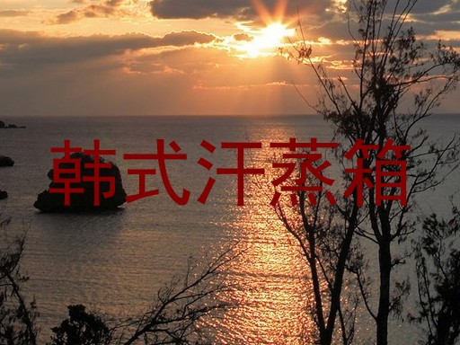 韩式汗蒸箱