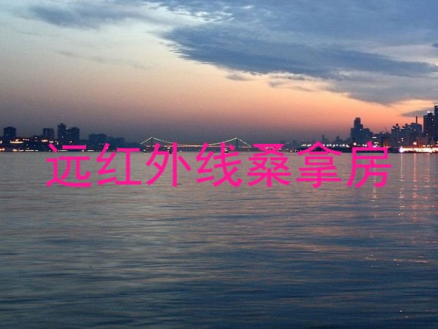 远红外线桑拿房