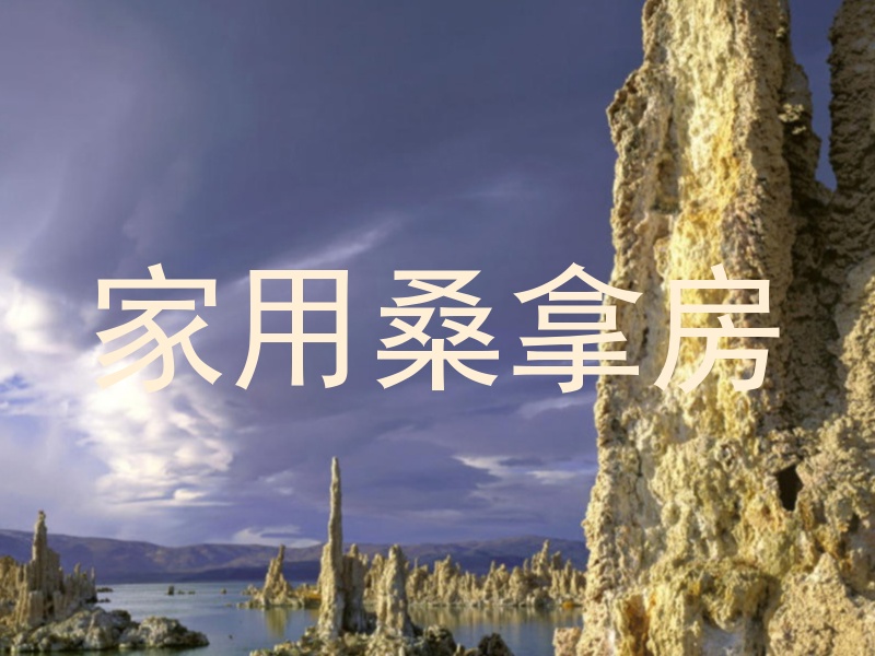 家用桑拿房