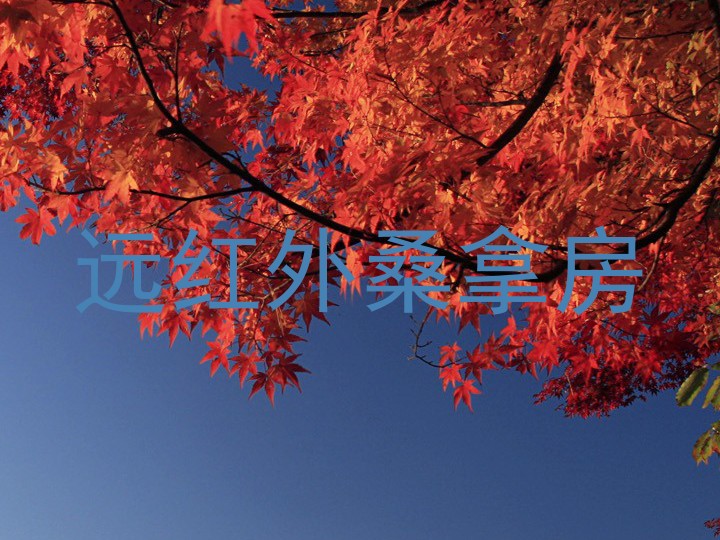 远红外桑拿房