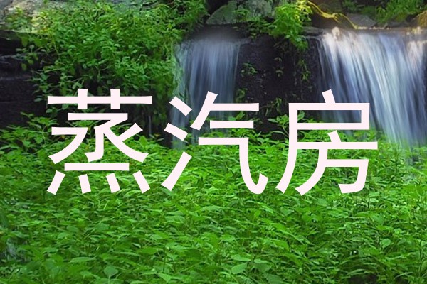 蒸汽房