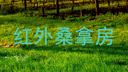 红外桑拿房