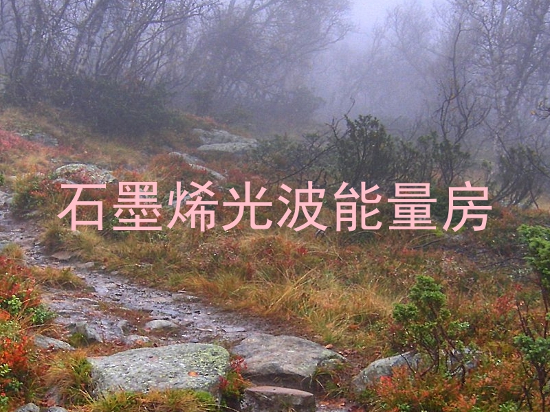 石墨烯光波能量房