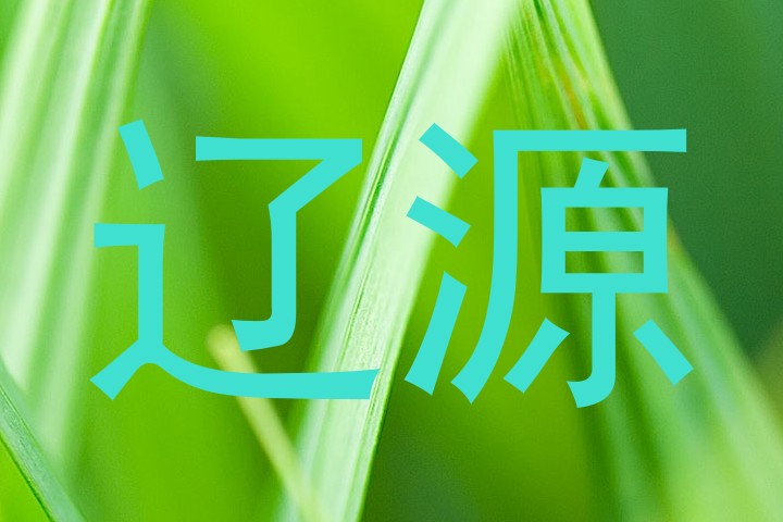 辽源