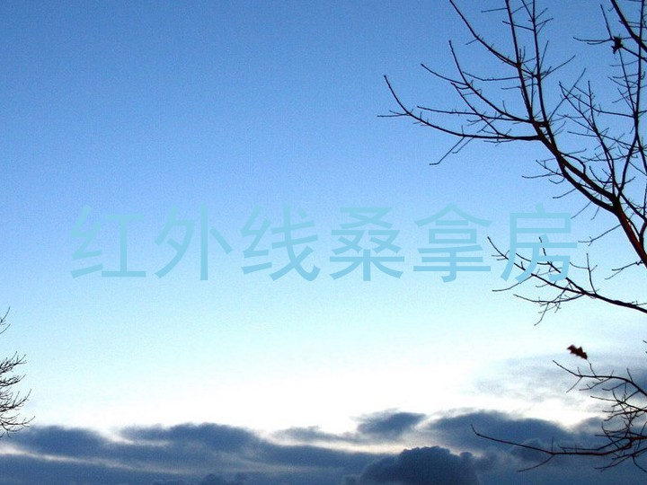 红外线桑拿房