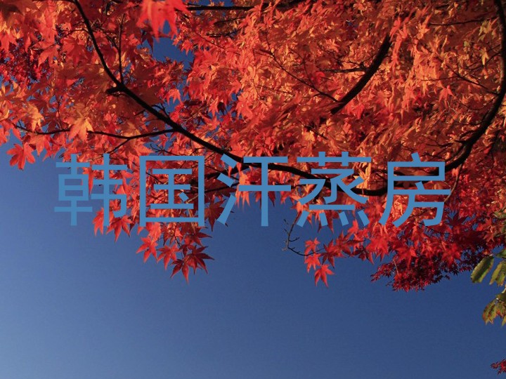 韩国汗蒸房