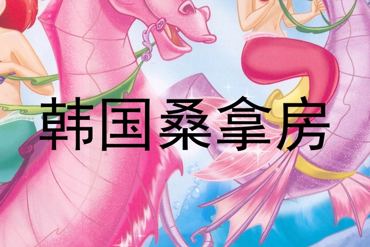 韩国桑拿房