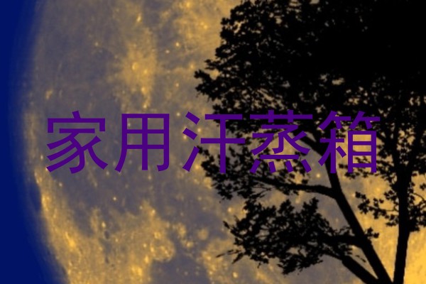家用汗蒸箱