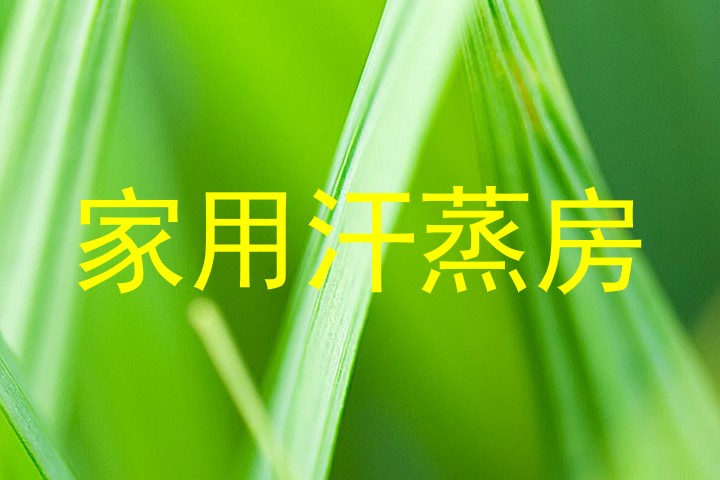 家用汗蒸房