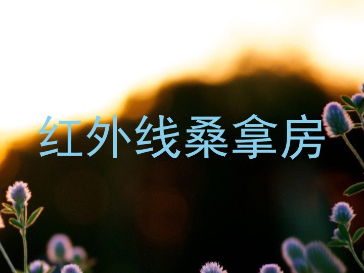 红外线桑拿房