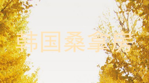 韩国桑拿房
