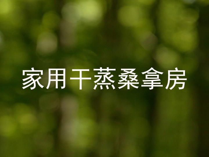 家用干蒸桑拿房