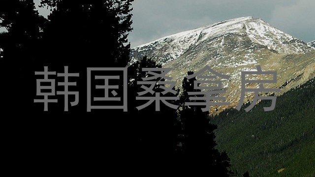 韩国桑拿房