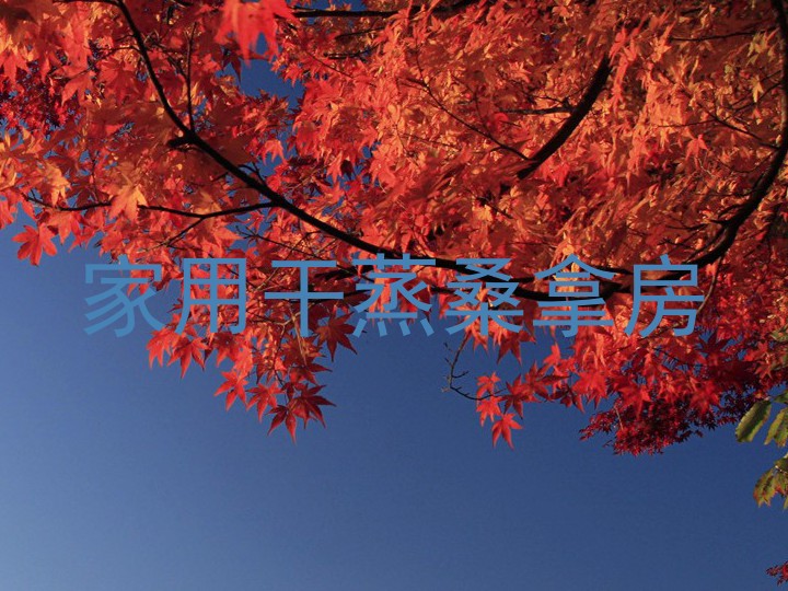家用干蒸桑拿房