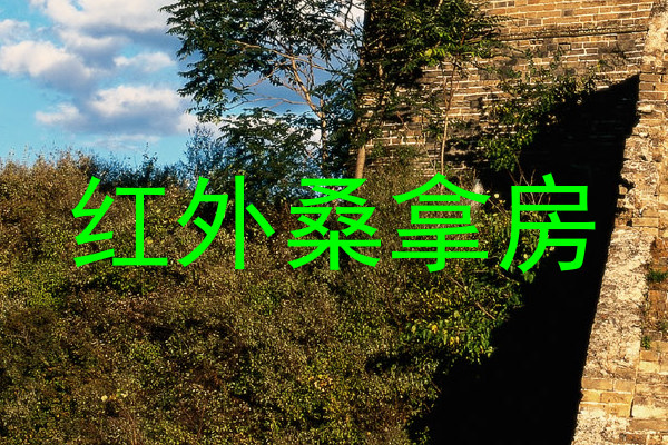 红外桑拿房
