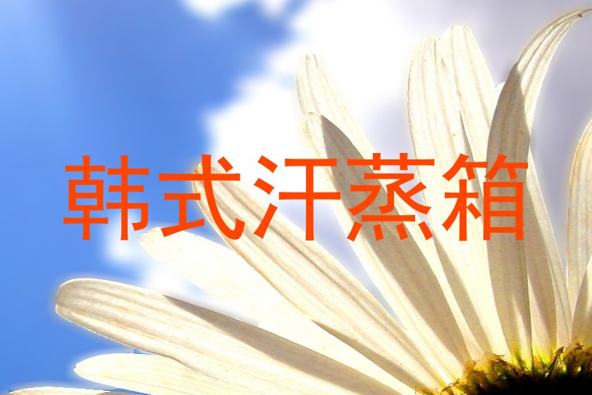 韩式汗蒸箱