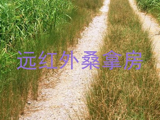 远红外桑拿房