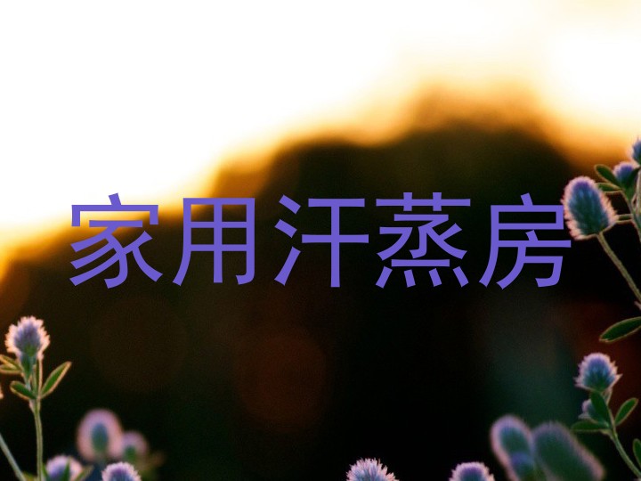 家用汗蒸房