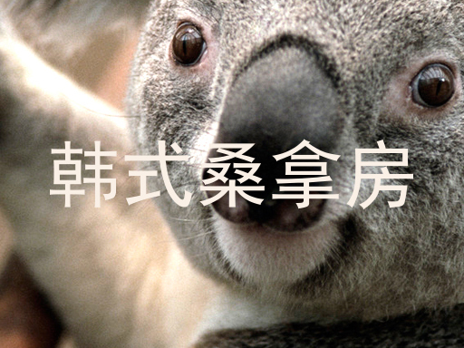 韩式桑拿房