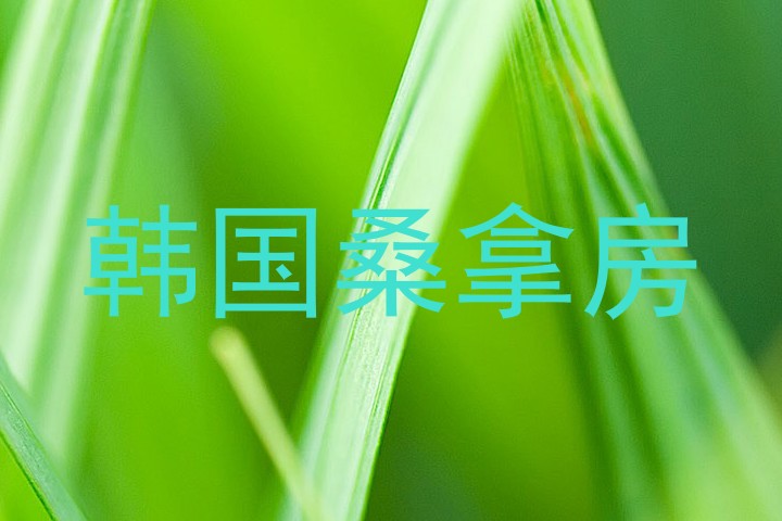 韩国桑拿房