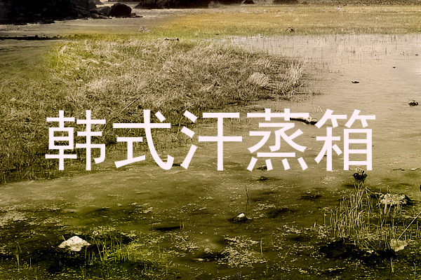 韩式汗蒸箱