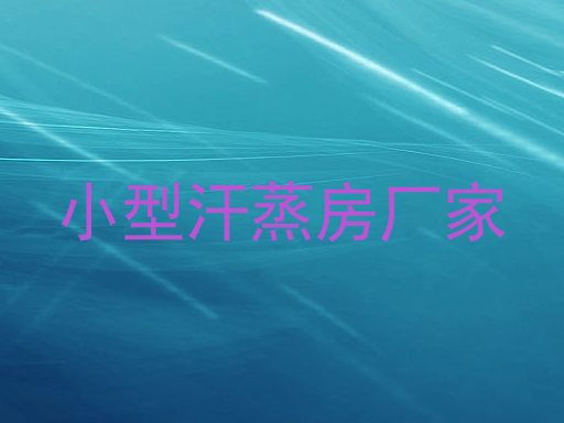 小型汗蒸房厂家