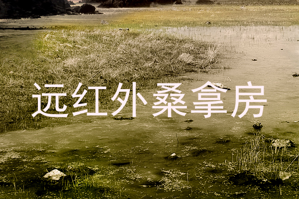 远红外桑拿房