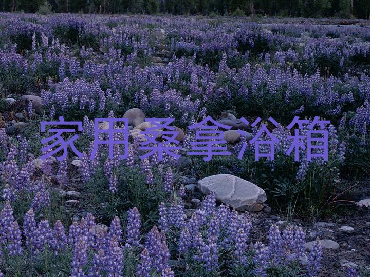 家用桑拿浴箱
