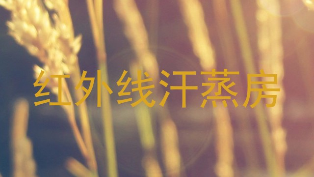 红外线汗蒸房