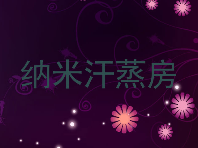 纳米汗蒸房