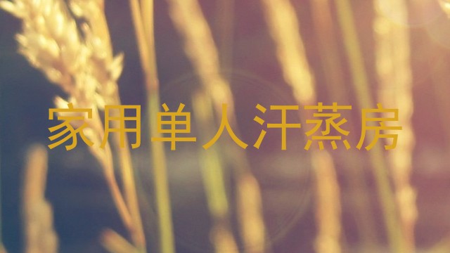家用单人汗蒸房