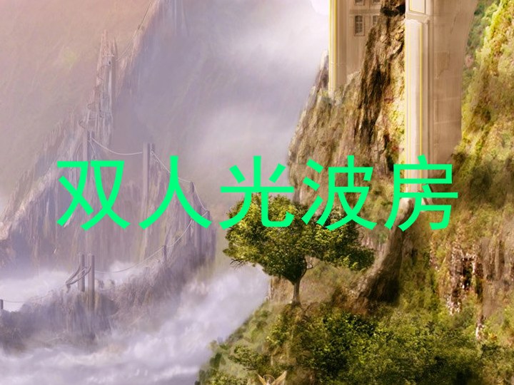 双人光波房
