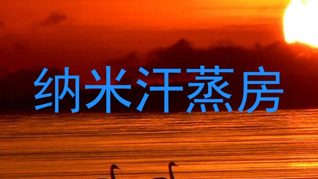纳米汗蒸房
