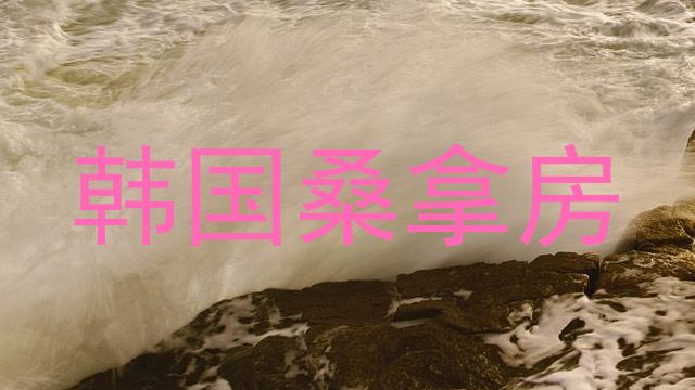 韩国桑拿房