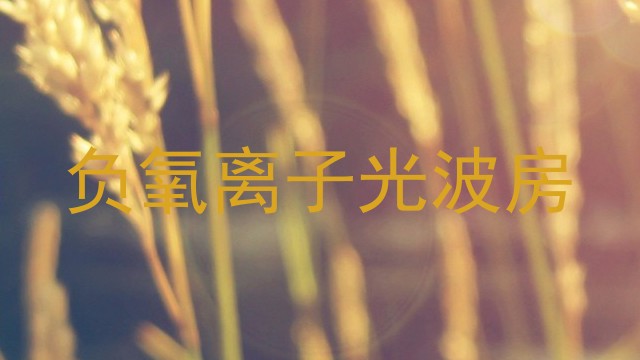 负氧离子光波房