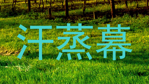 汗蒸幕