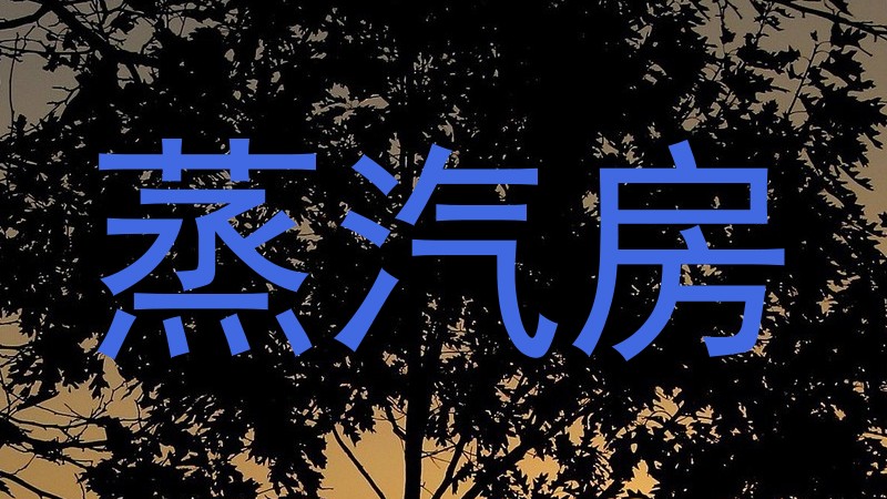 蒸汽房