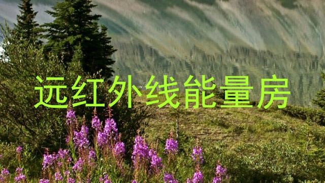 远红外线能量房
