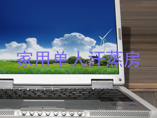 家用单人汗蒸房