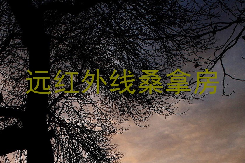 远红外线桑拿房