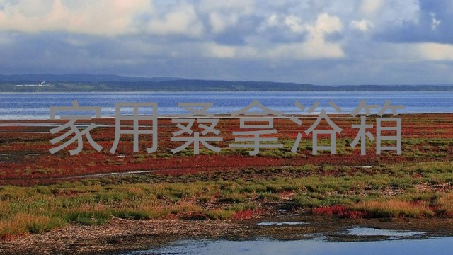 家用桑拿浴箱