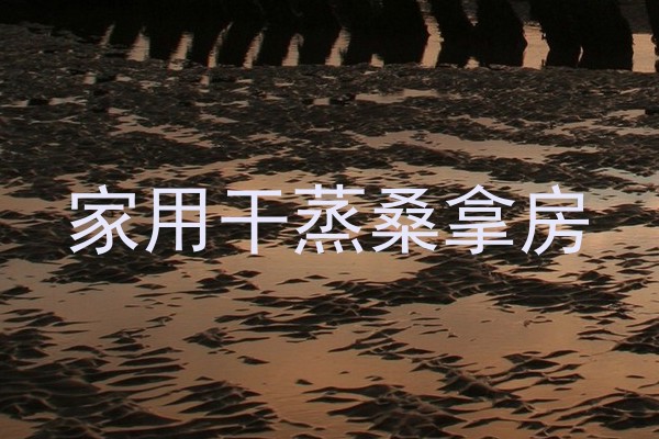 家用干蒸桑拿房