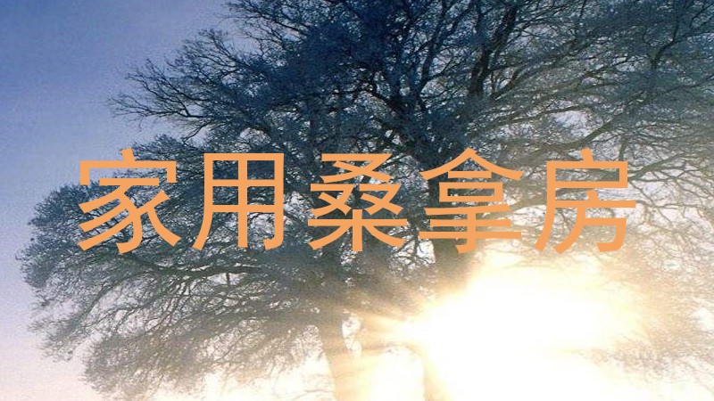 家用桑拿房