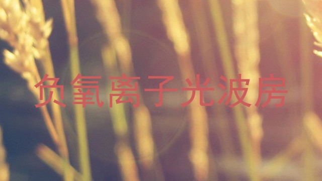 负氧离子光波房
