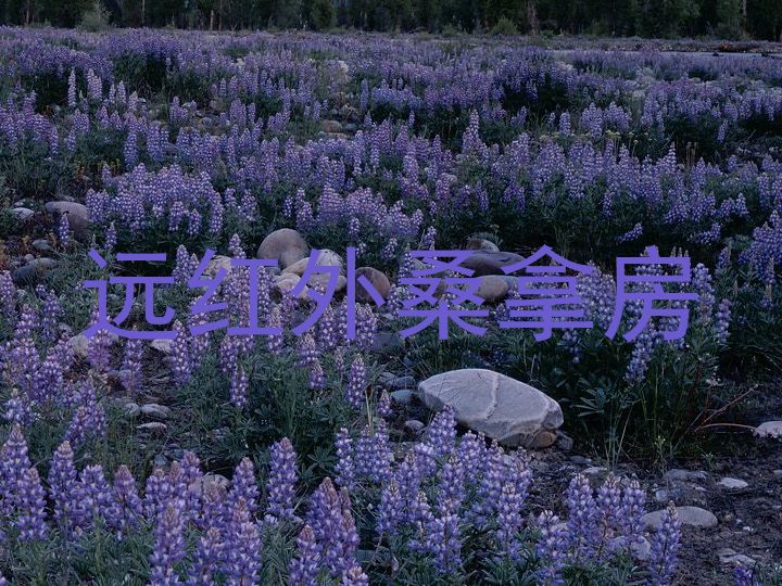 远红外桑拿房