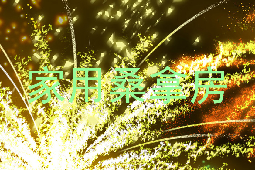 家用桑拿房