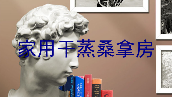 家用干蒸桑拿房