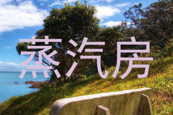 蒸汽房