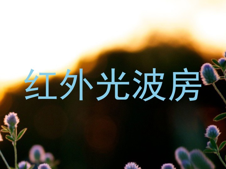 红外光波房