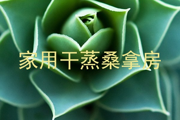 家用干蒸桑拿房